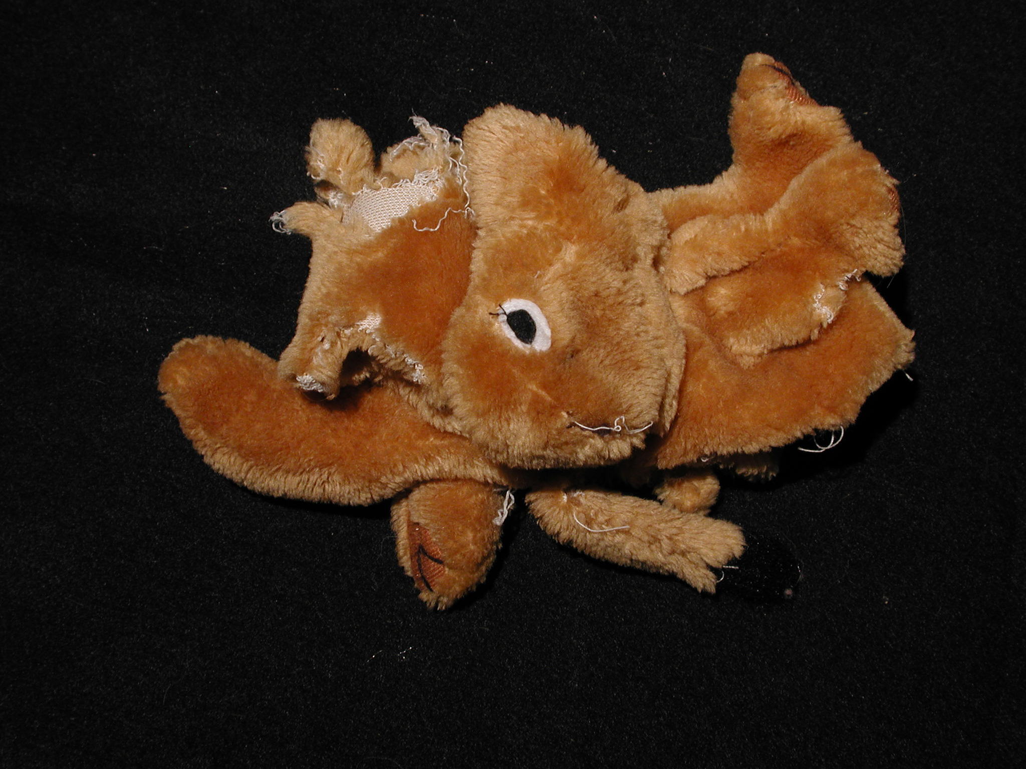 *Pet-Chewed Objects_Teddy Bear.jpg