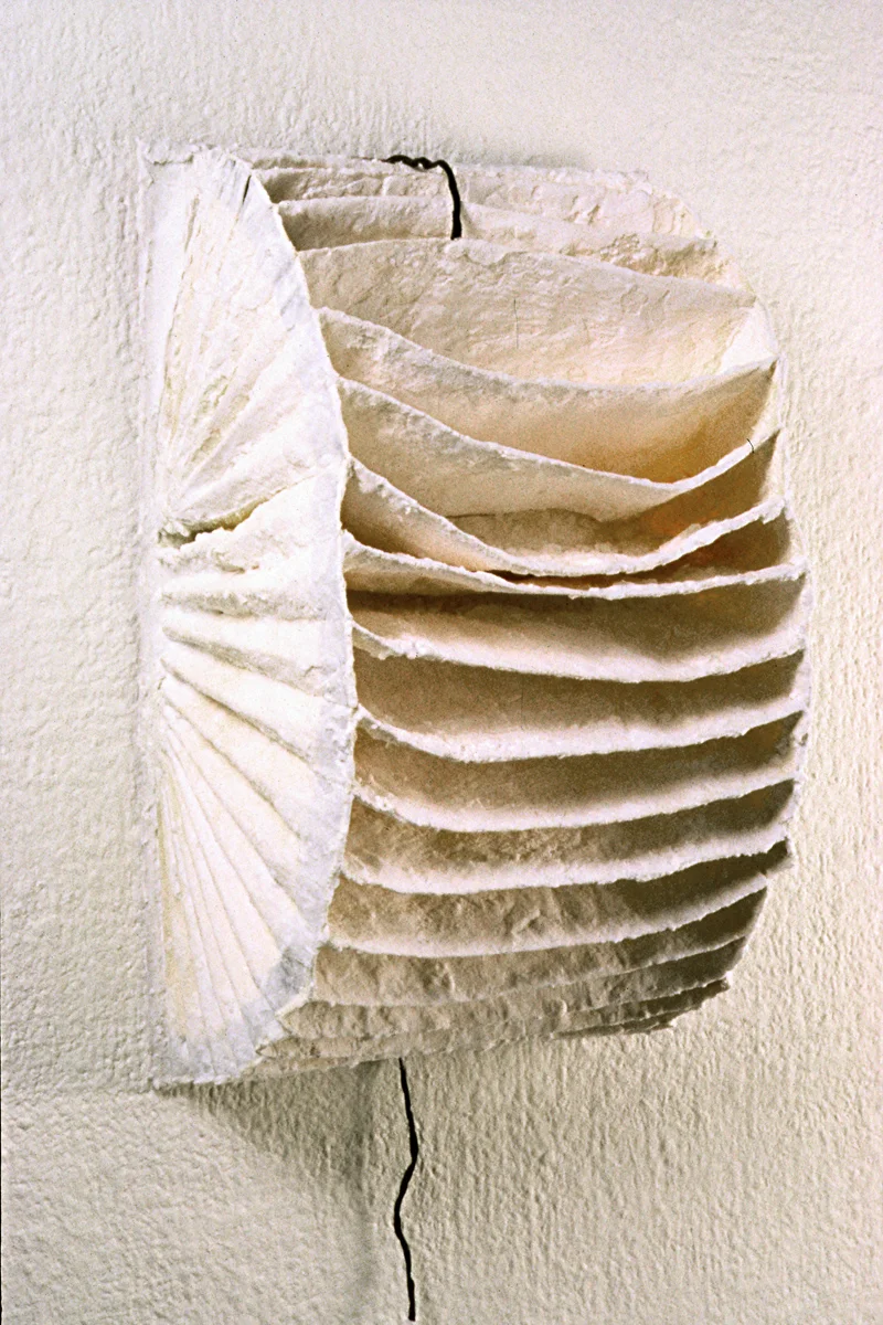 Salt Archive