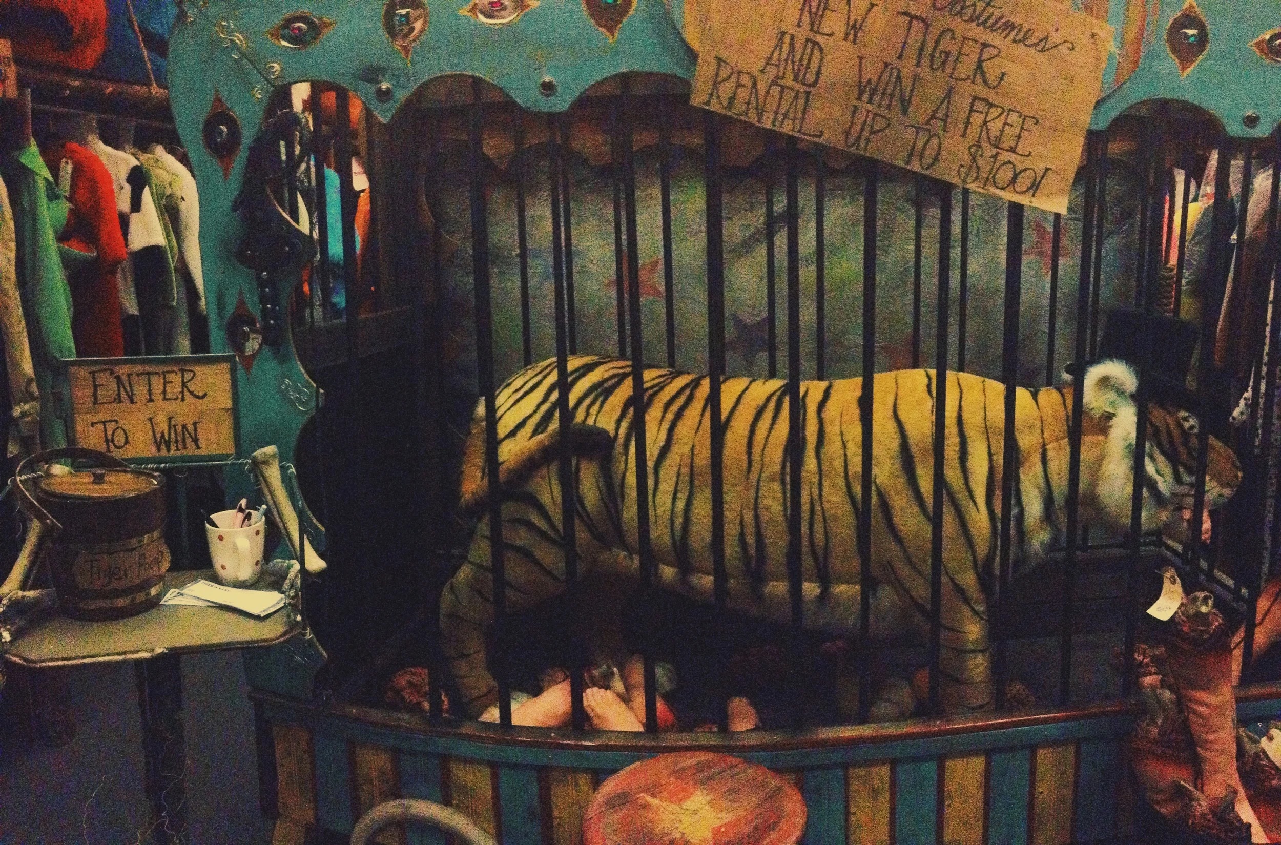 Rose Costumes is one of the coolest places you can visit in Denton. In fact, any time one of your friends or family members visits, it should be on your agenda. It might not look like much from the outside, but inside you'll find all sorts of cool stuff. Their newest room is dubbed The Circus Rossini and features a man-eating lion in a cage (among other things). They want you to stop by and submit a name for said lion. Do it. 