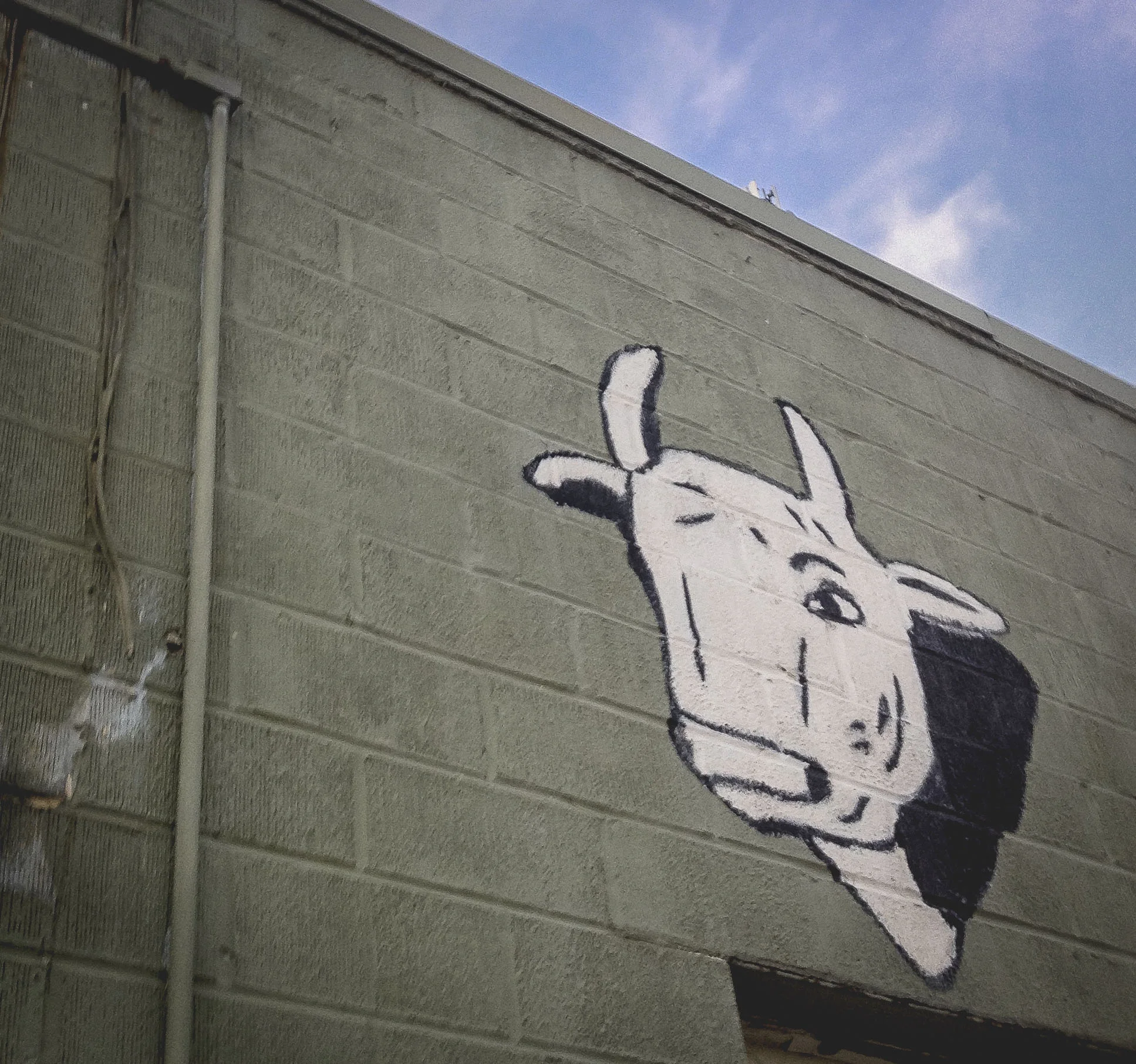 One of our favorite mini-murals in town is this beef head on the side of Dan's Meat and Produce. 