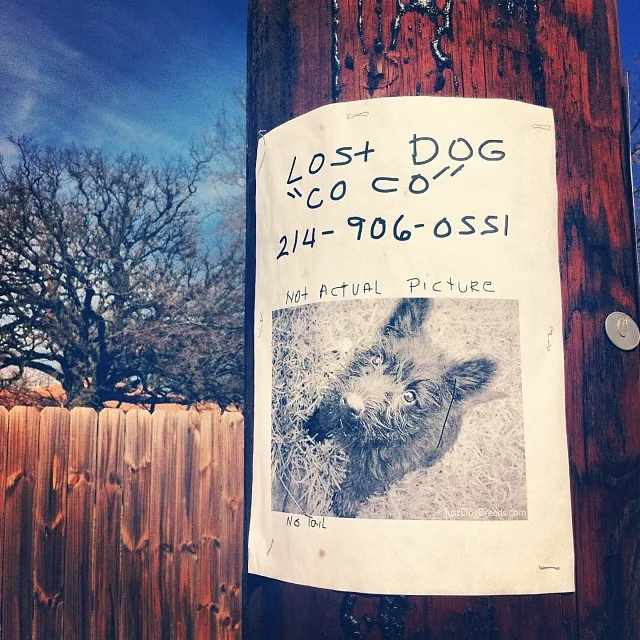 "Not Actual Picture" What? Photo by Daniel Markham . 