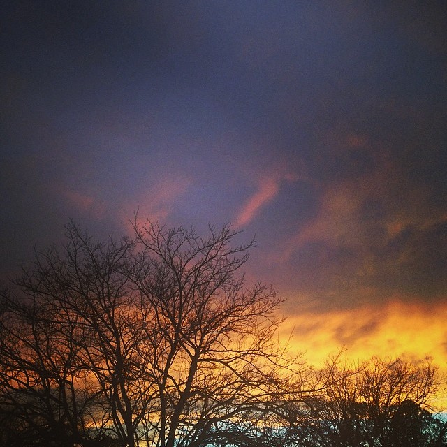 We were going to tell Shaina Sheaff that since she seems to love the sky so much she should just marry it, but turns out the sky is already engaged to be engaged. 