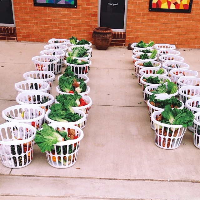 Bountiful Baskets. Photo by @HollyinTexas. 