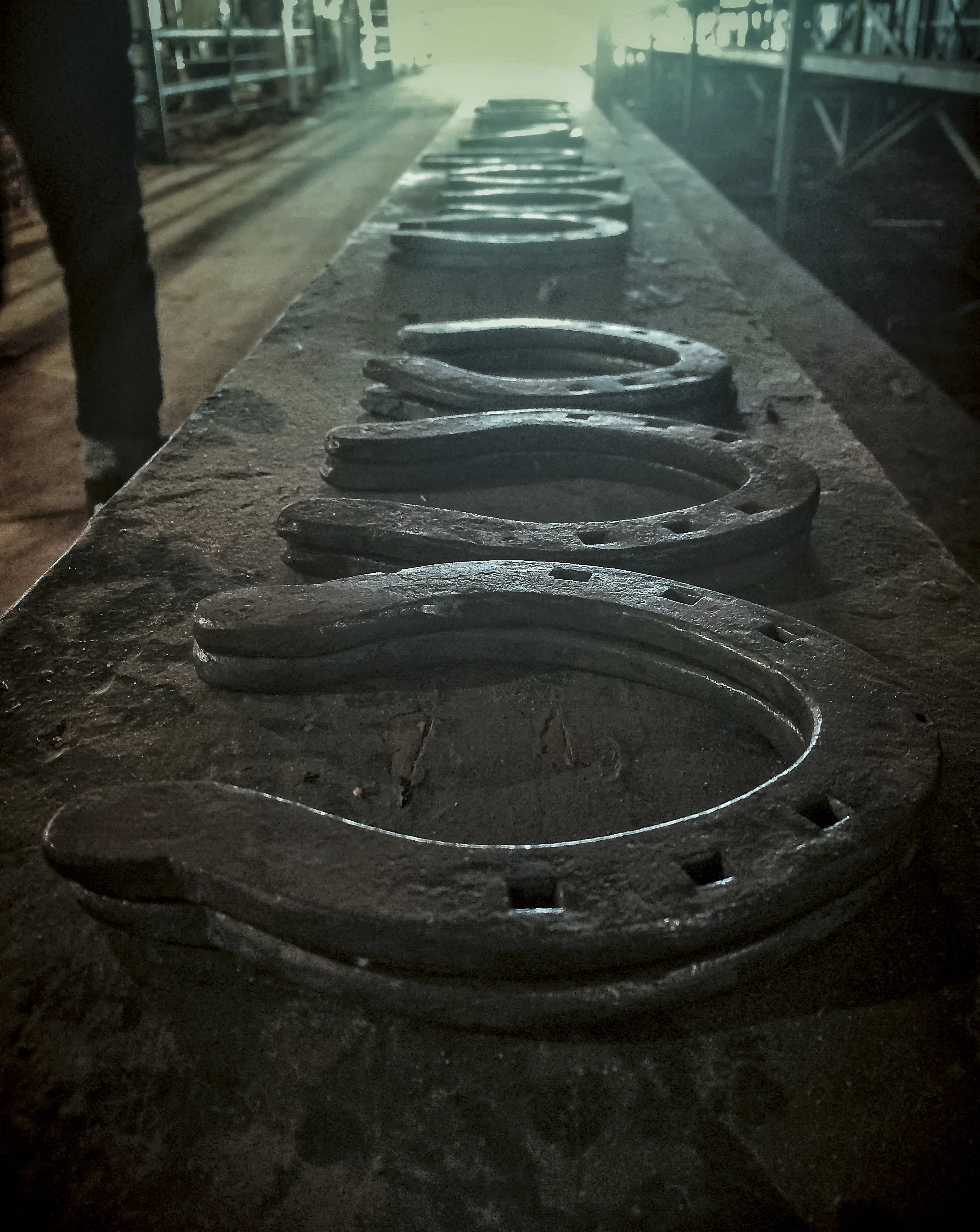 There was a farrier (horse shoer) competition at the fair grounds this weekend. Lots of interesting stuff going on there. In addition, news broke that the fair grounds will soon be moving to a new facility a few miles north nearer to 35. 