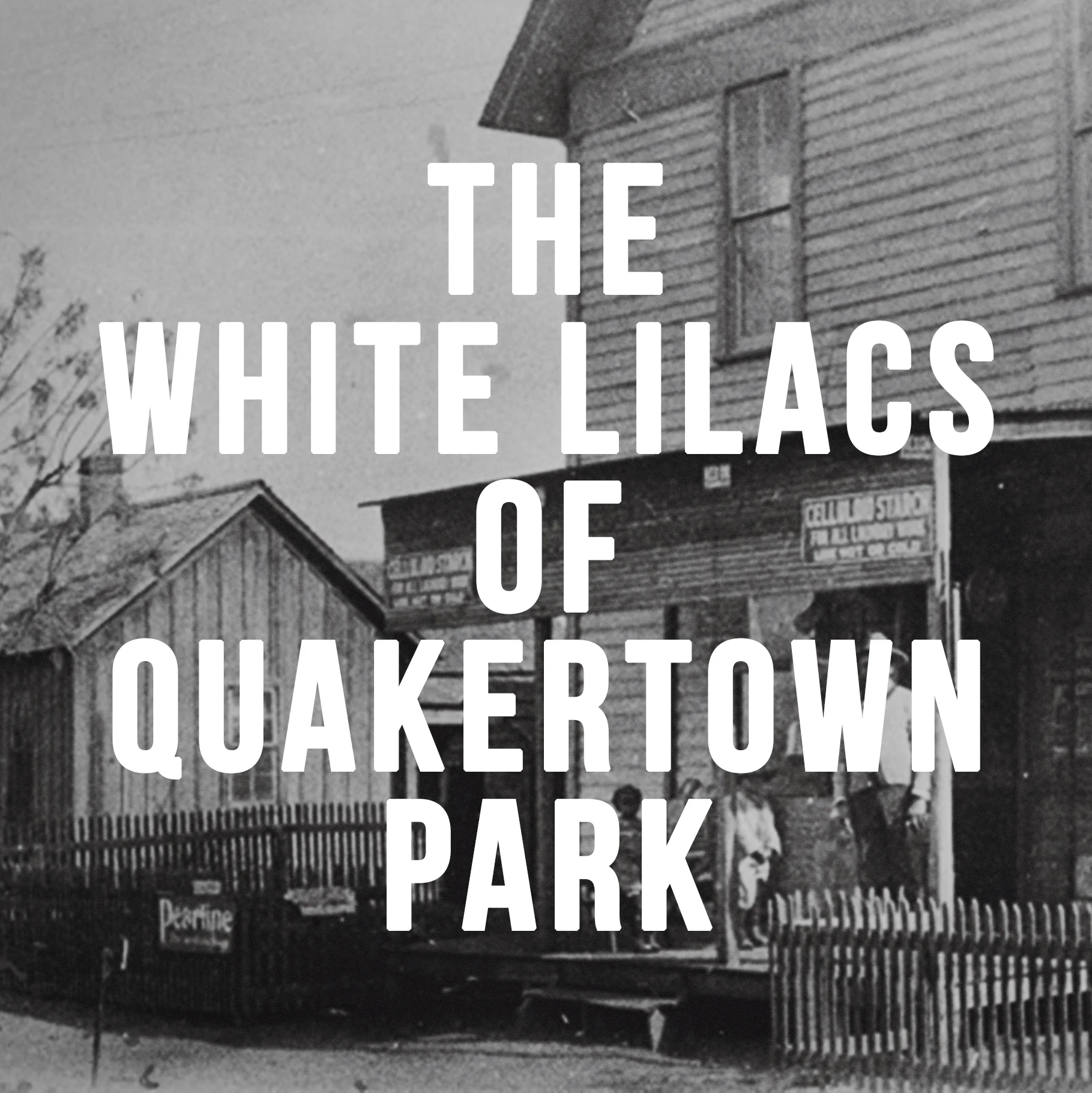 BACK IN THE DAY: THE ‘WHITE LILACS’ OF QUAKERTOWN