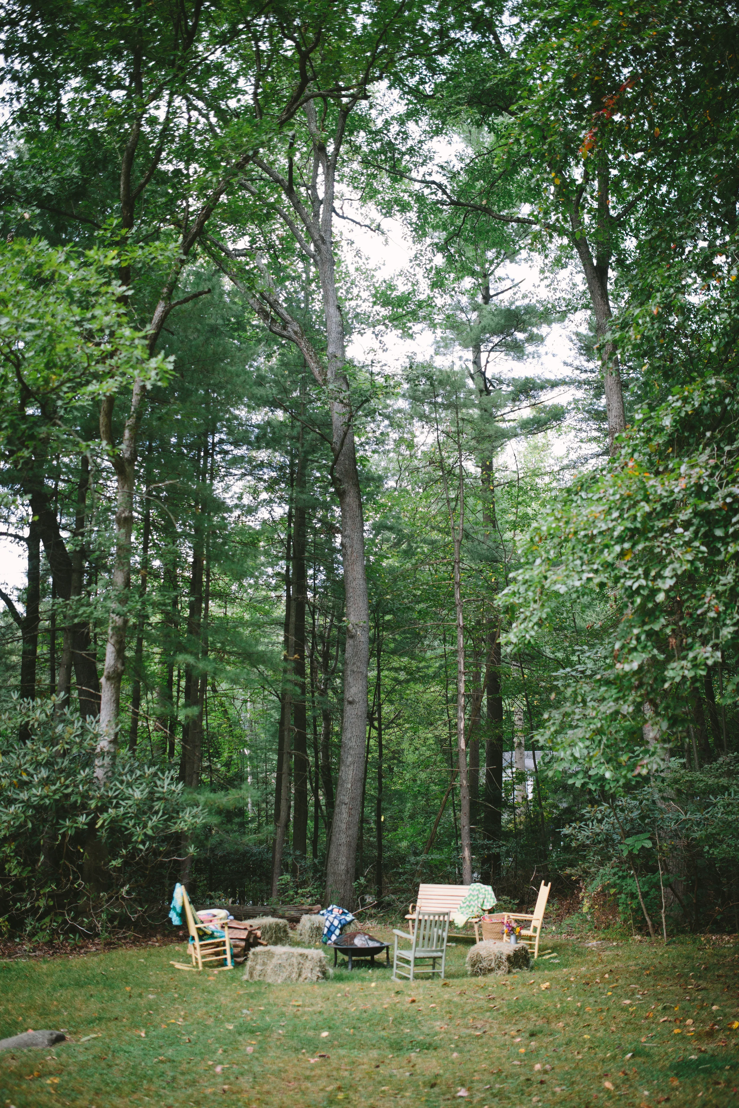 IMG-386.jpg