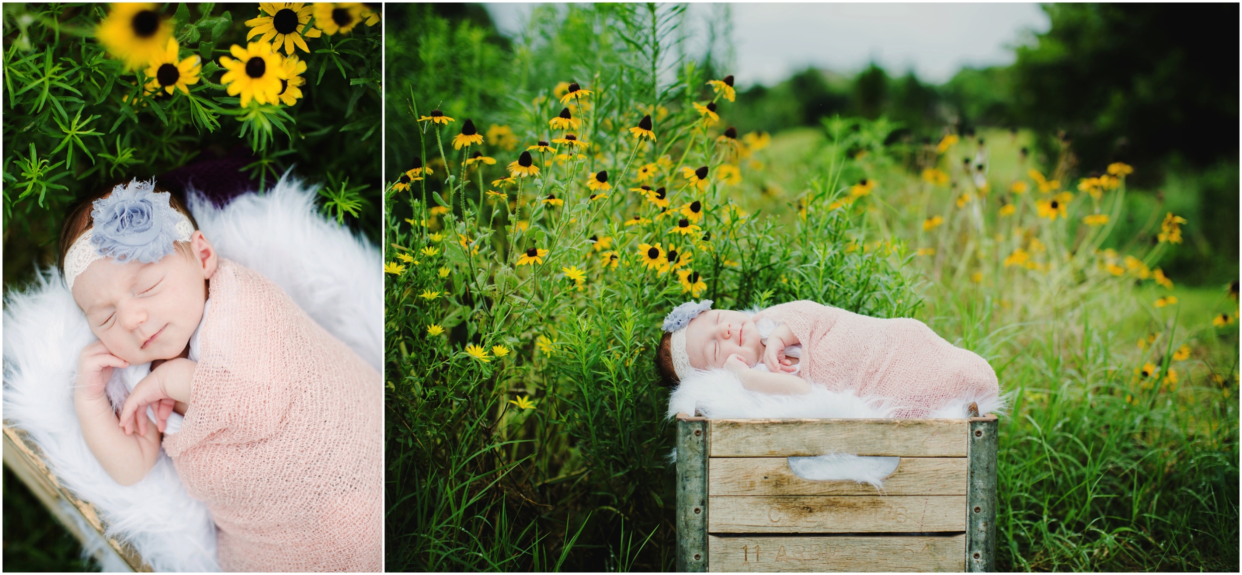 NewbornFlowersSunshineEdmondOKNewbornPhotographer