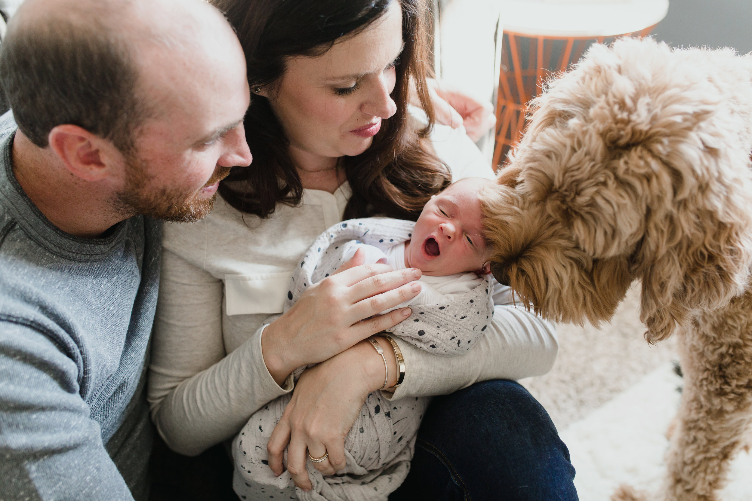 Family_Photographer_Oklahoma_Fur_babies_Newborn_Wrap.JPG