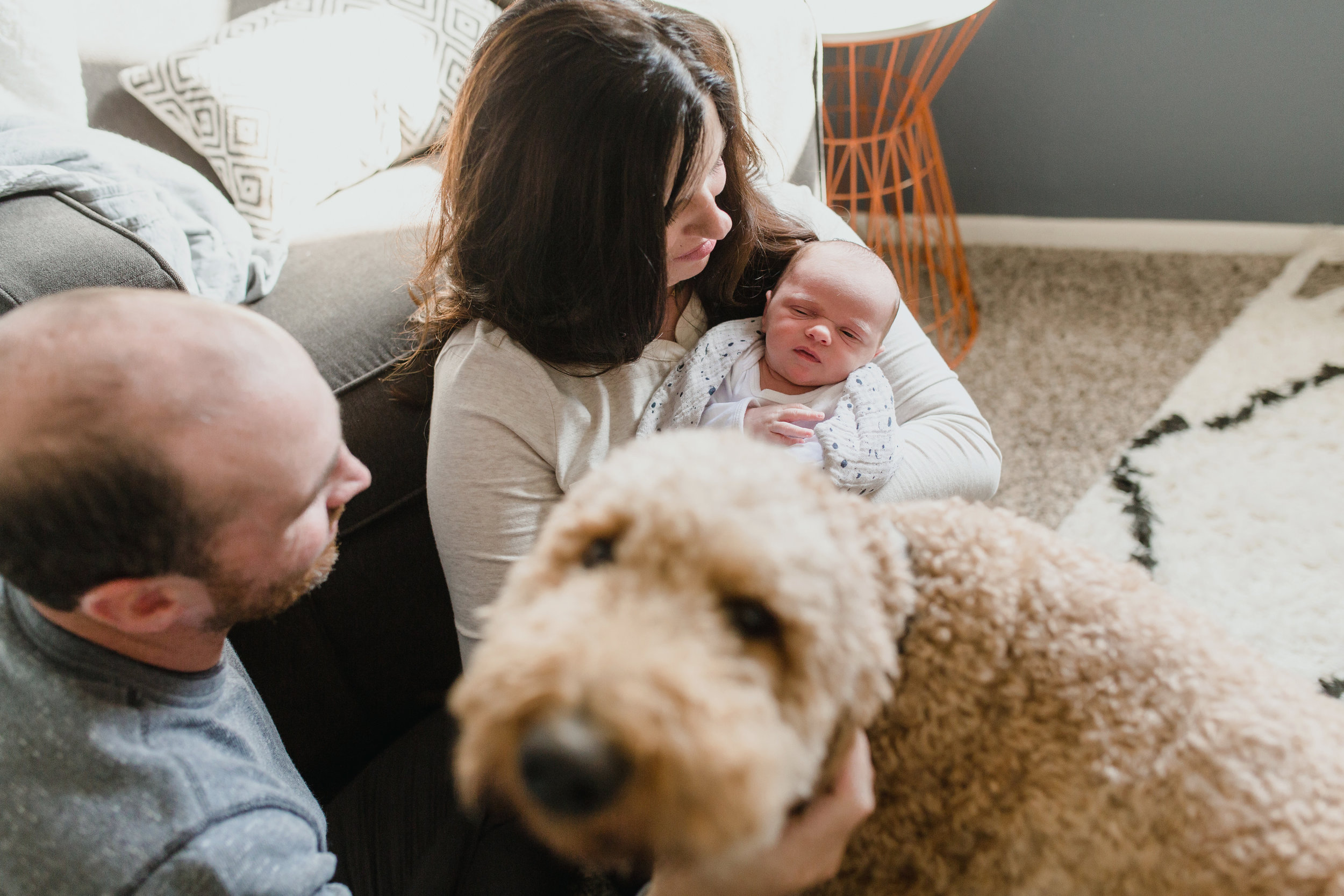 Fur_Babies_Lifestyle_Photography_Family_Newborn_Pets.JPG