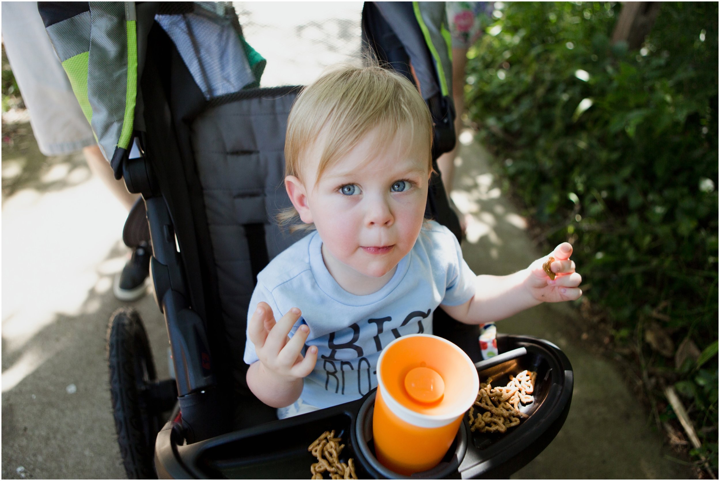 baby_annoucement_big_brother_okc_zoo_day_in_the_life_photographer.jpg