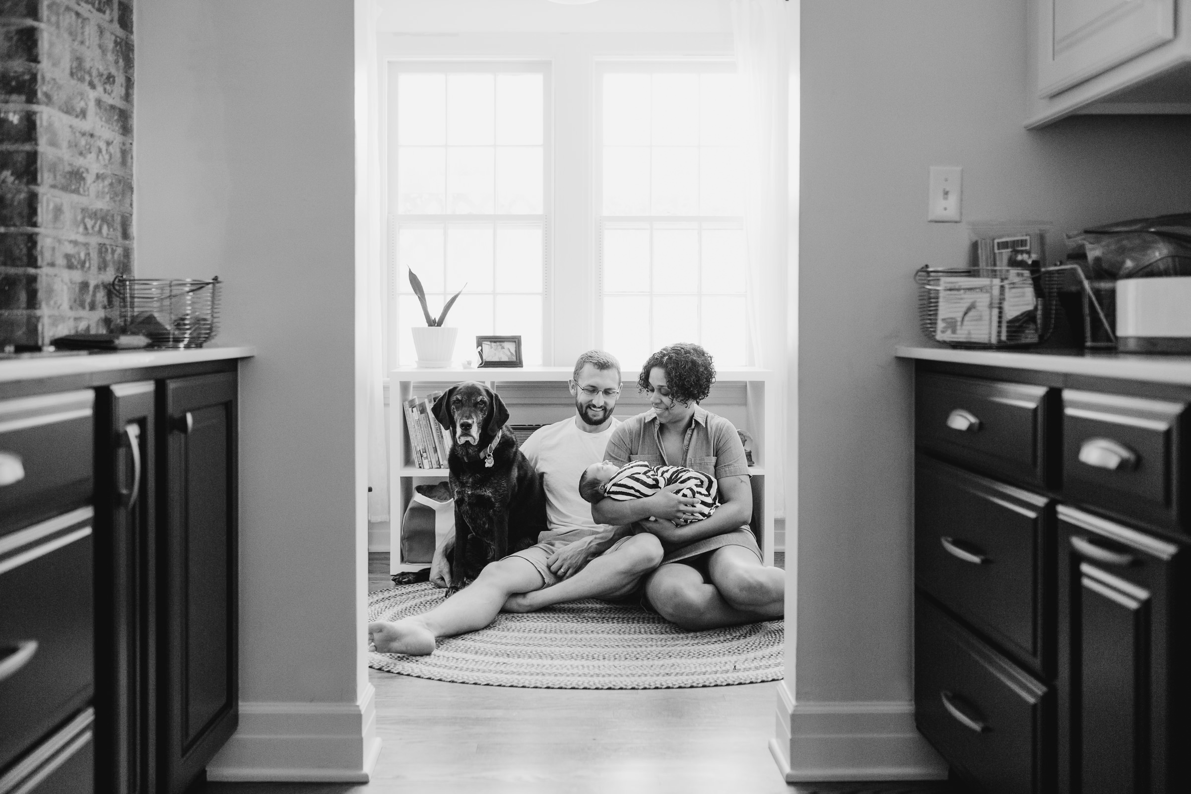 family_photos_dog_lab_in_home_lifestyle_newborn_natural.JPG