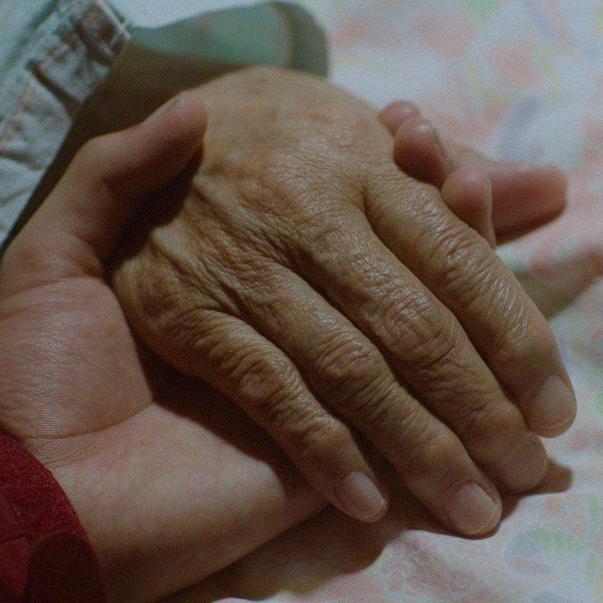  Ainu Mosir  Clarice Jensen 