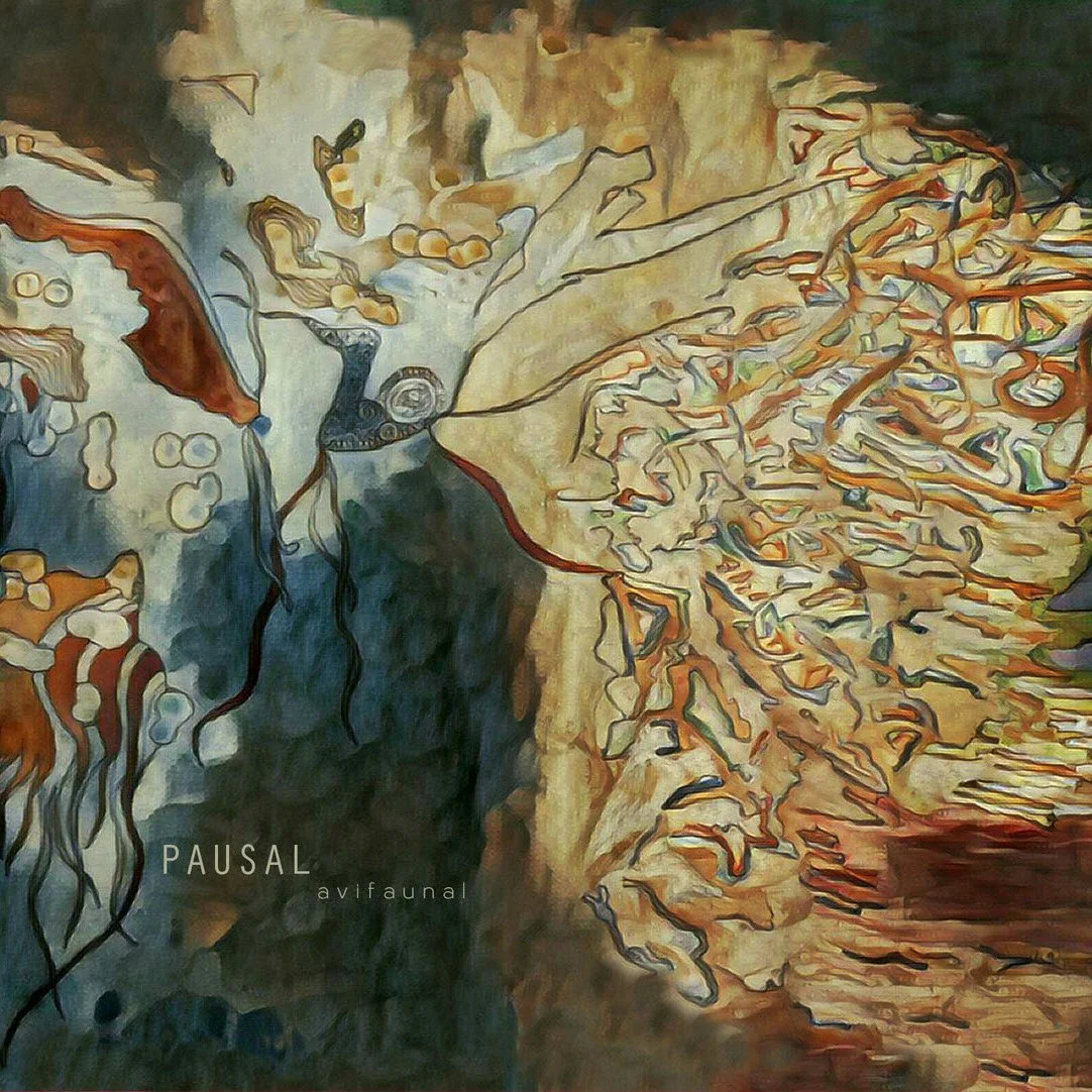  Avifaunal  Pausal 