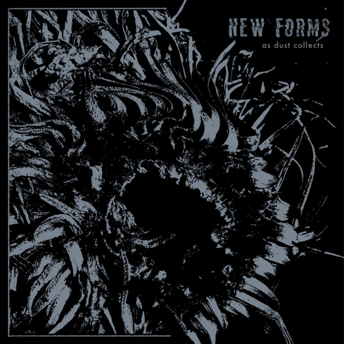  As Dust Collects  New Forms 