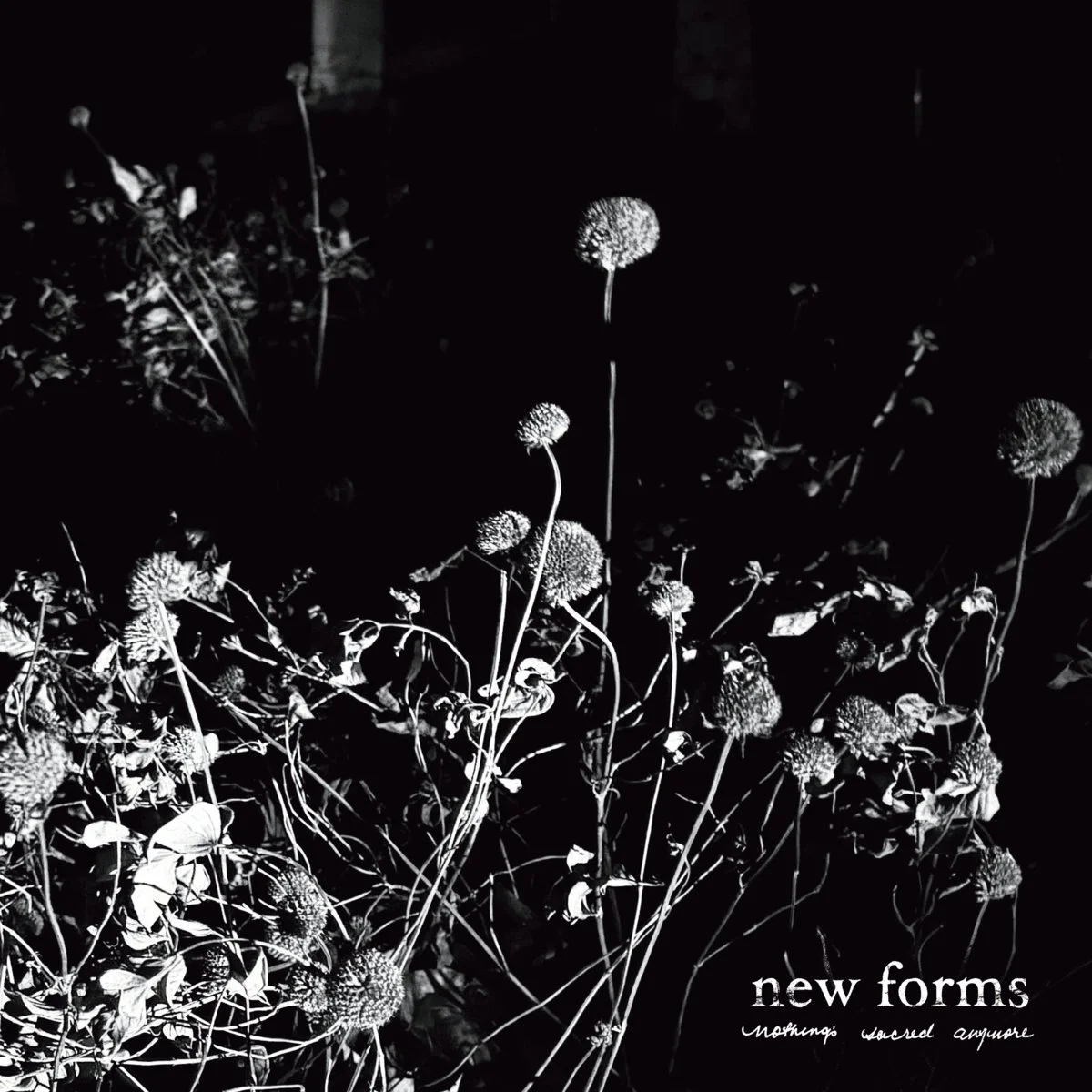  Nothing’s Sacred Anymore  New Forms 