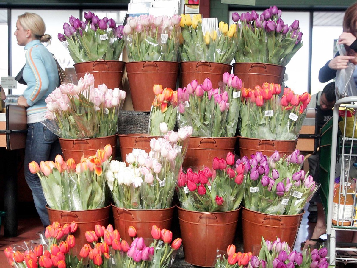 flowers-tulips-supermarket-grocery-1.jpg