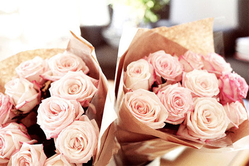 wrapped roses.jpg
