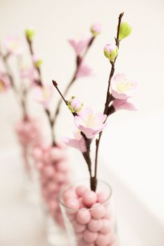 flowering branch.jpg