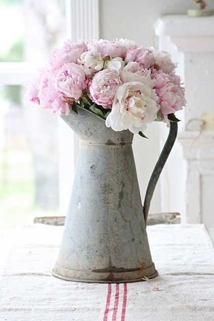 peony in pitcher.png