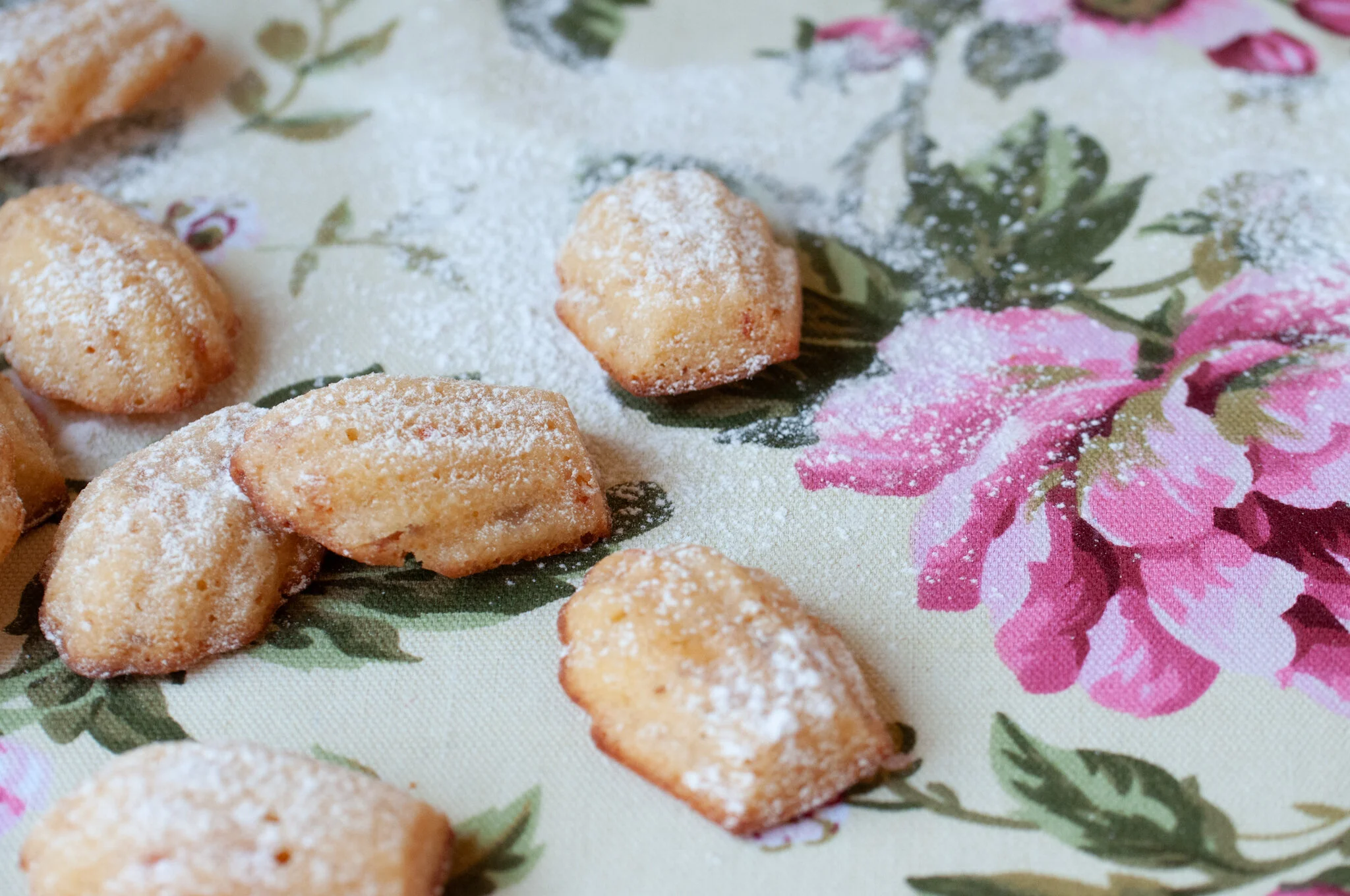 MADELEINES — Middle Eastern Pantry & Recipes | New York Shuk