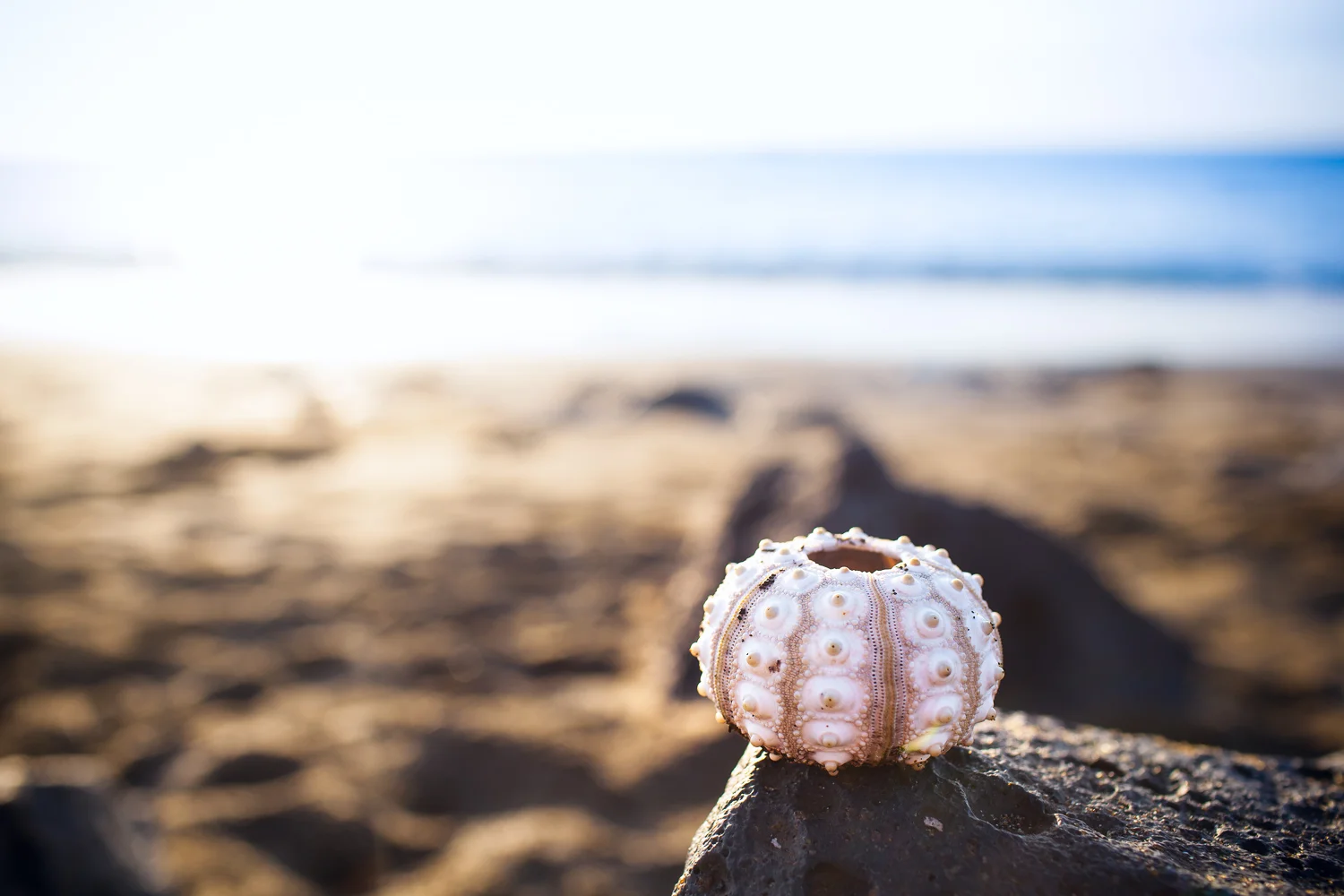IMG_9087-Edit.jpg