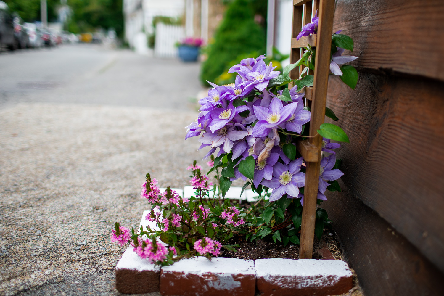 Ladders and flowers.