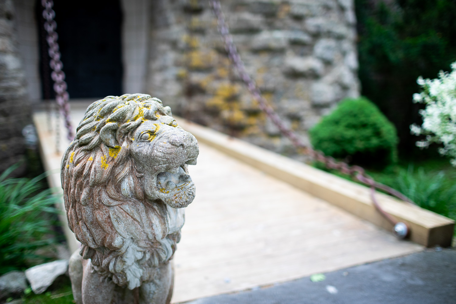 A statue of a lion guards the drawbridge to the Hammond Castle. 