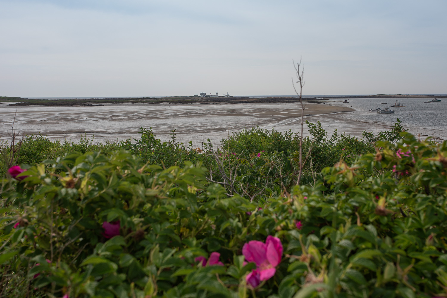 At the edge of Cape Porpoise Pier. The Goat Island Lighthouse is seen in the distance.