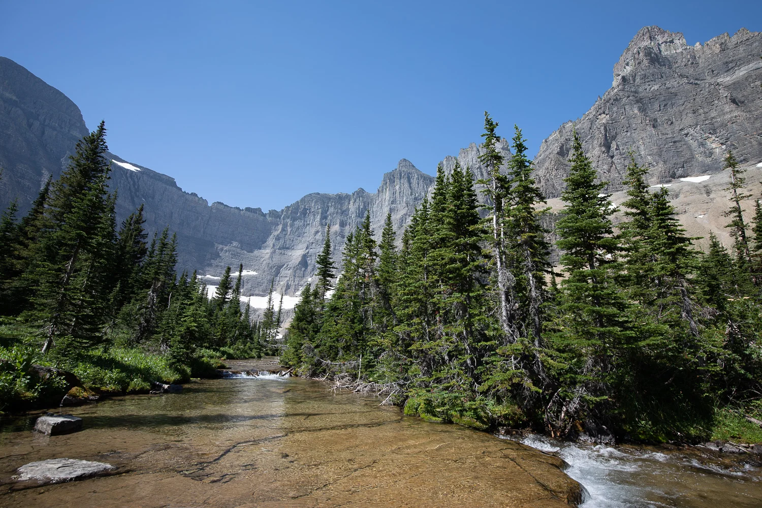 Scene from the Iceberg Lake trail.