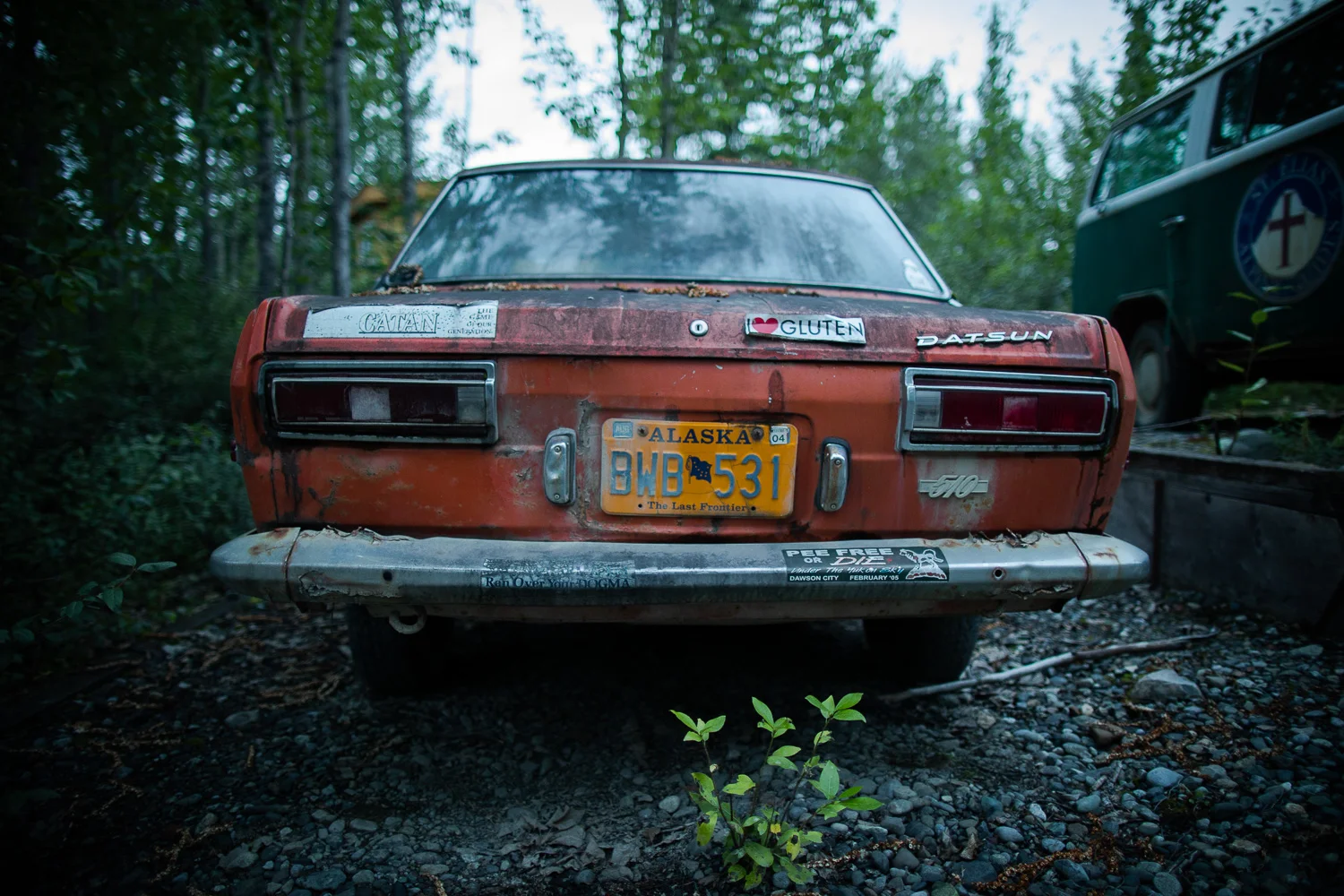 4L8A9586.jpg
