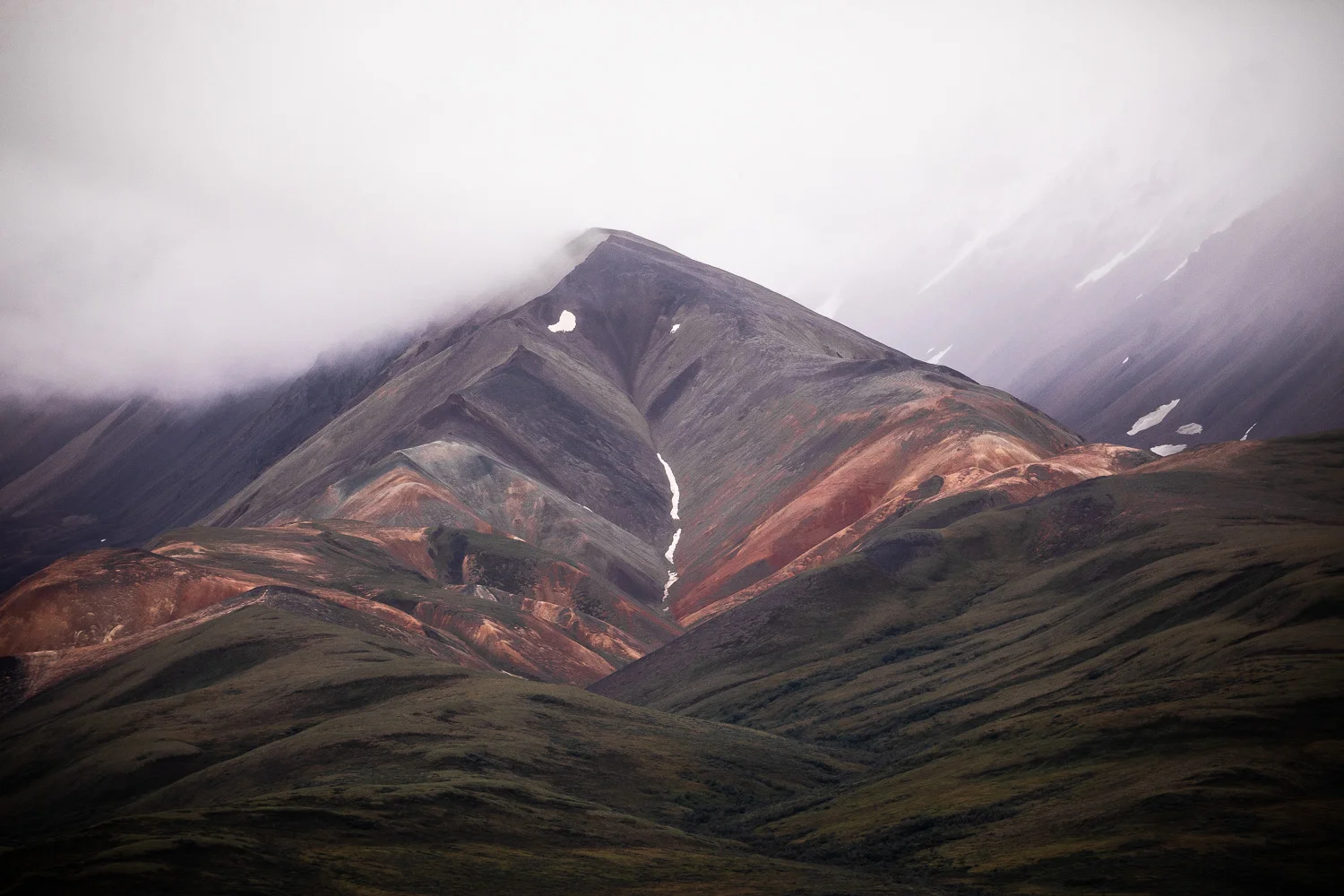 4L8A0080.jpg