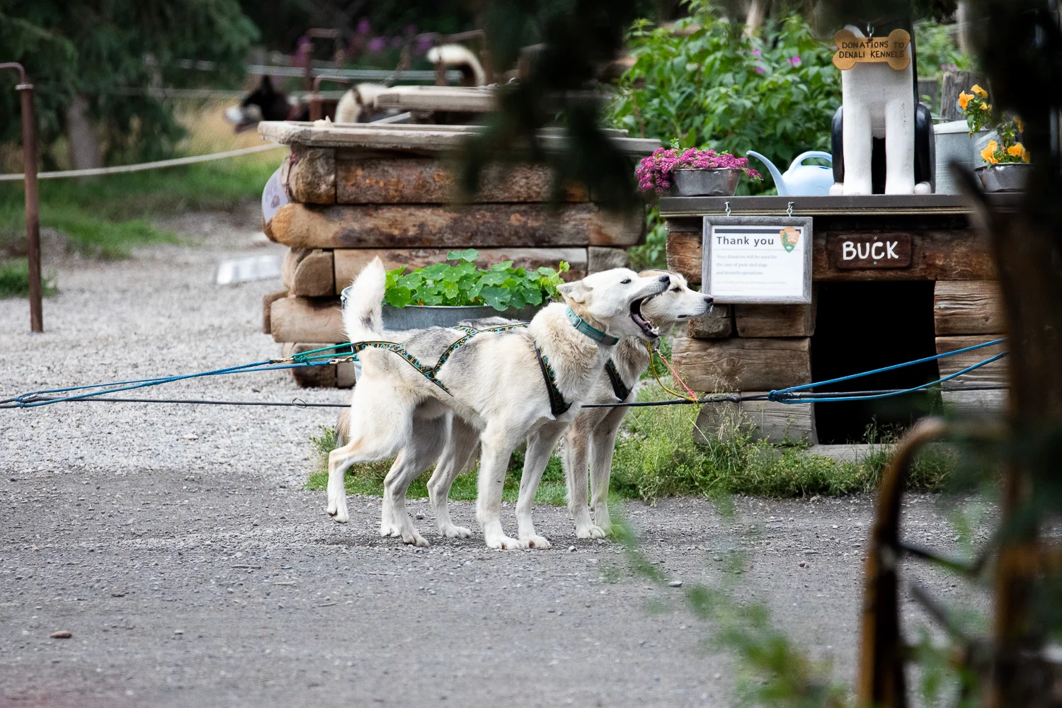"Can we go already?" 