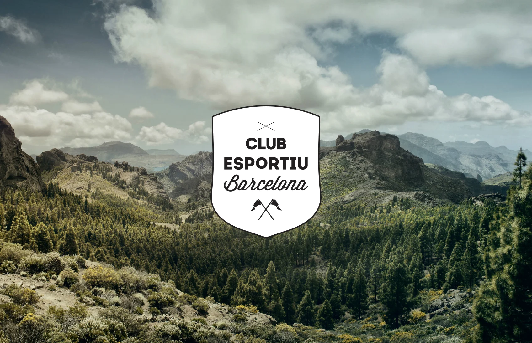 Club esportiu logo.jpg