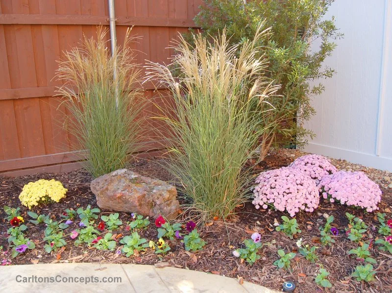 Landscape_Design_McKinney_01.jpg