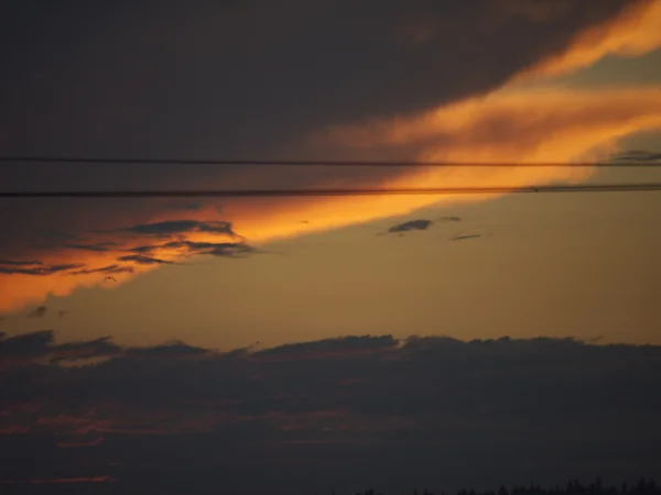sunset_wall.jpg