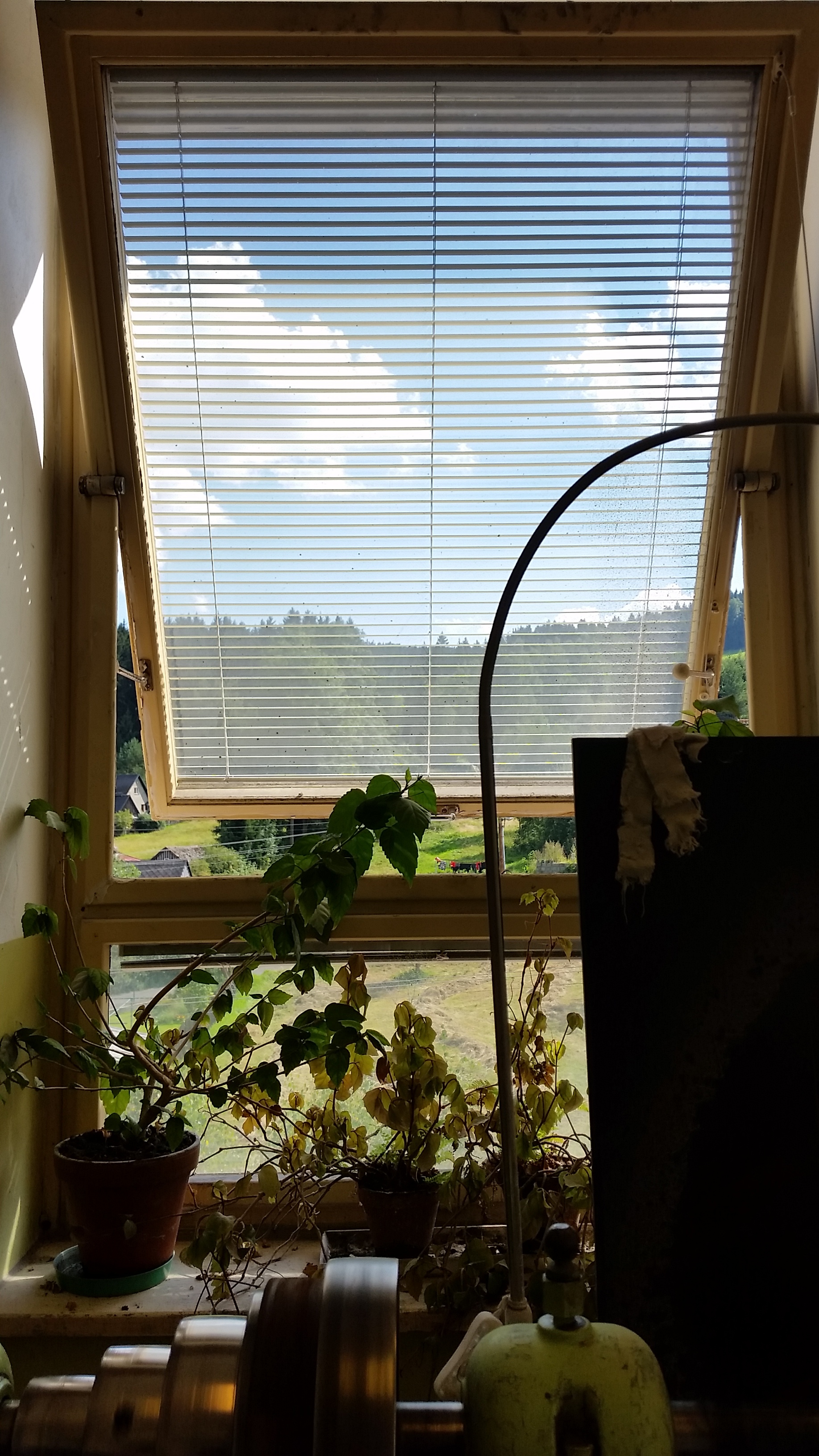 Vie from the cold working studio, Decin