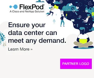 20-NTAP-02605-08 FlexPod Install Base Tech Refresh Campaign Banners v03 300x250 - 2.jpg