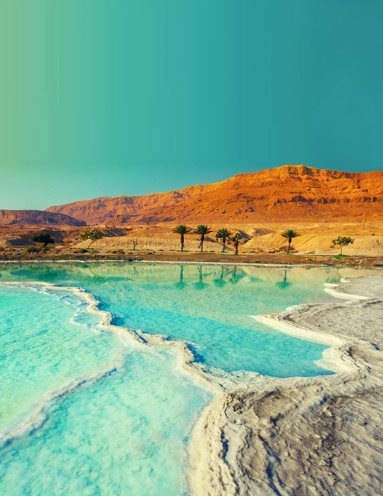 Middle East-Africa eBook14.jpg