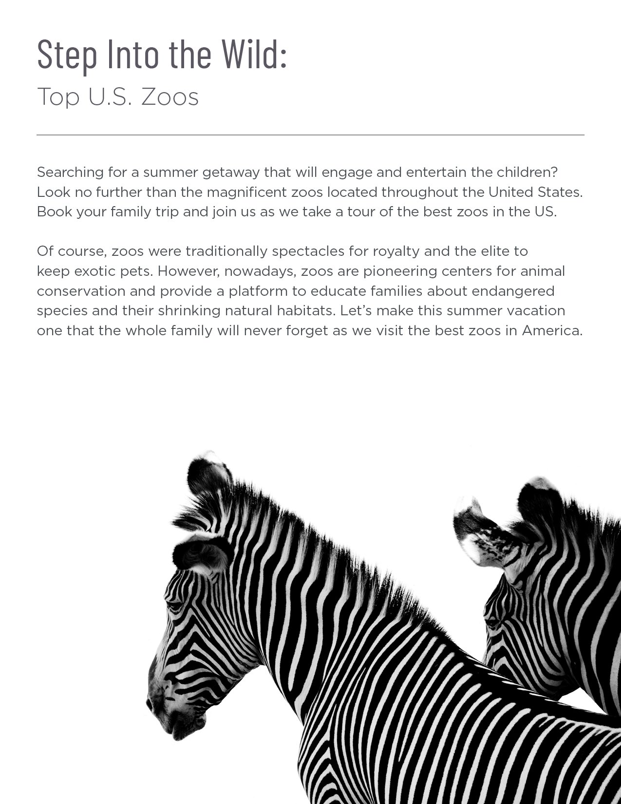 CC226.3007.24 The Magic of Amusement eMagazine25.jpg