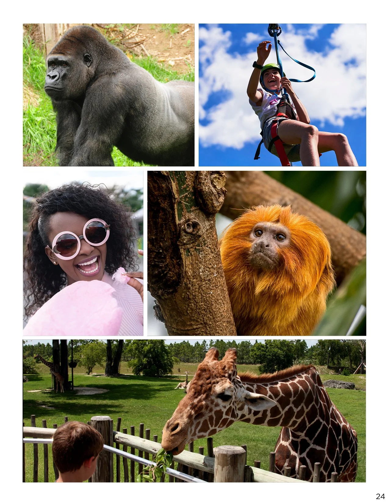 CC226.3007.24 The Magic of Amusement eMagazine31.jpg