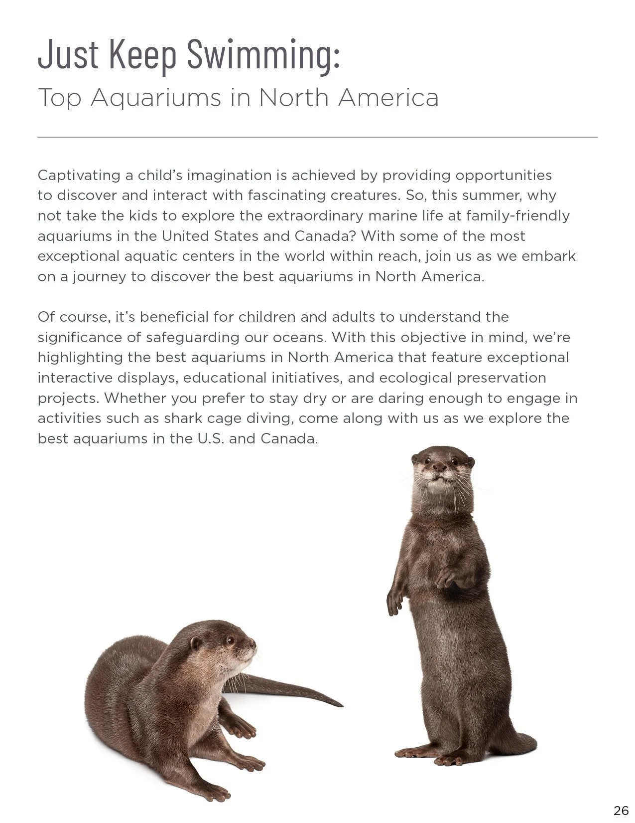 CC226.3007.24 The Magic of Amusement eMagazine33.jpg