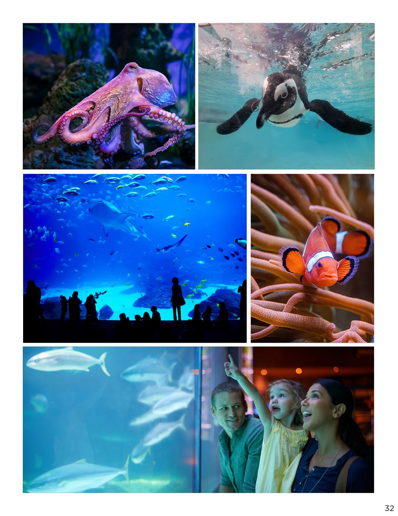 CC226.3007.24 The Magic of Amusement eMagazine39.jpg