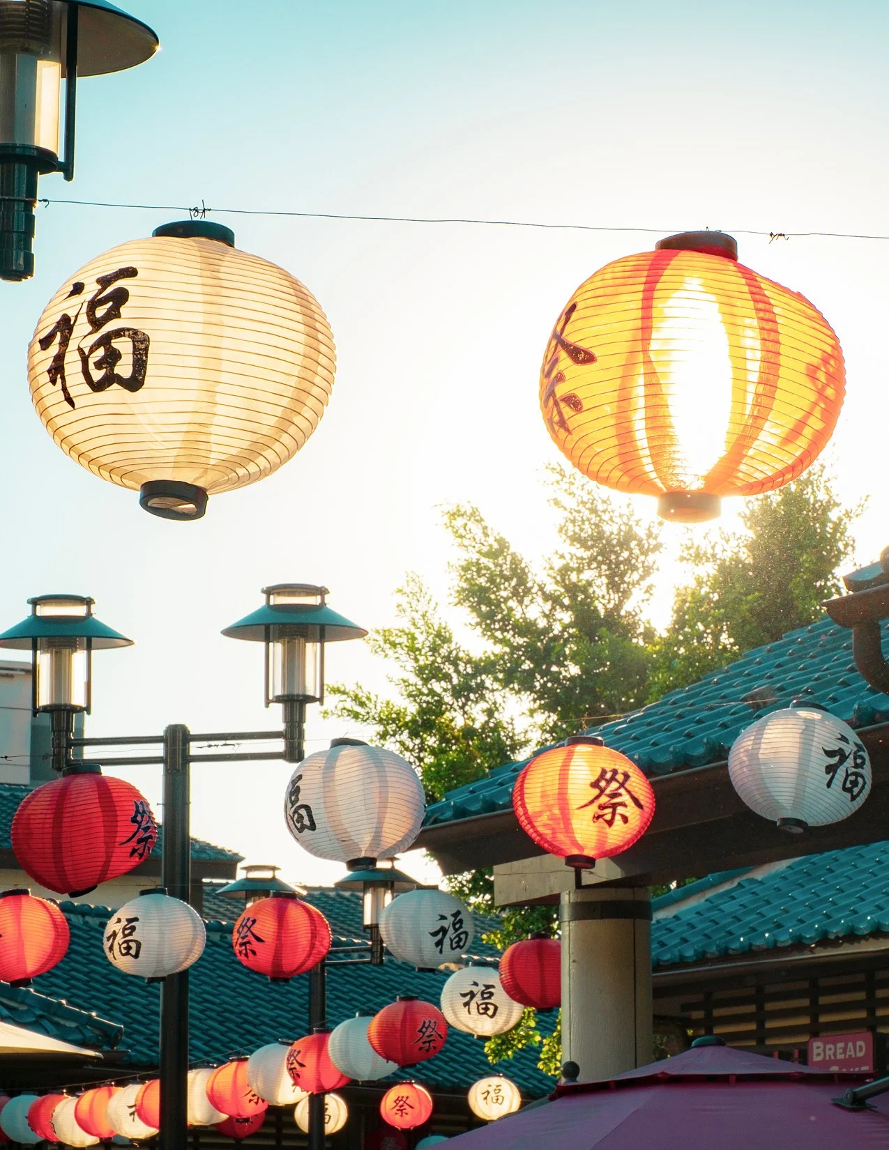CC226.3007.24 The Magic of Amusement eMagazine56.jpg