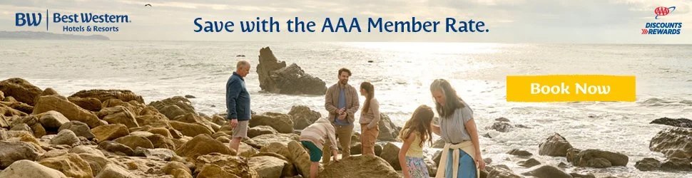 AAA_970x250.jpg
