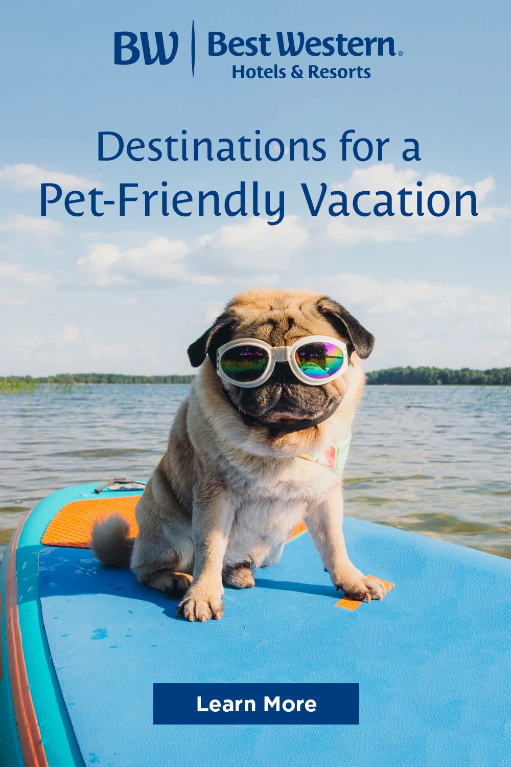 1000x1500-Destinations for a Pet-Friendly Vacation.jpg