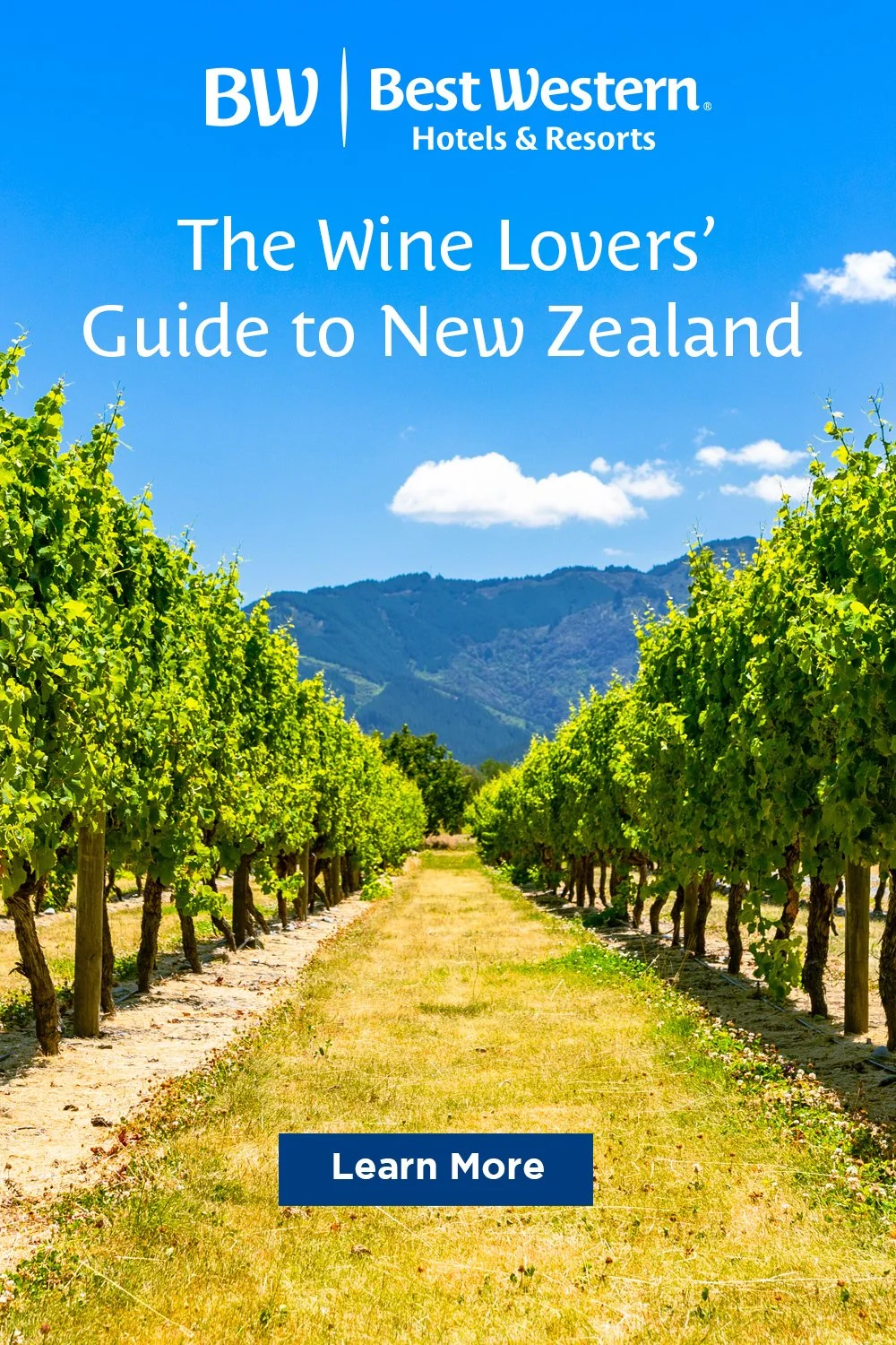 1000x1500-The Wine Lovers’ Guide to New Zealand.jpg