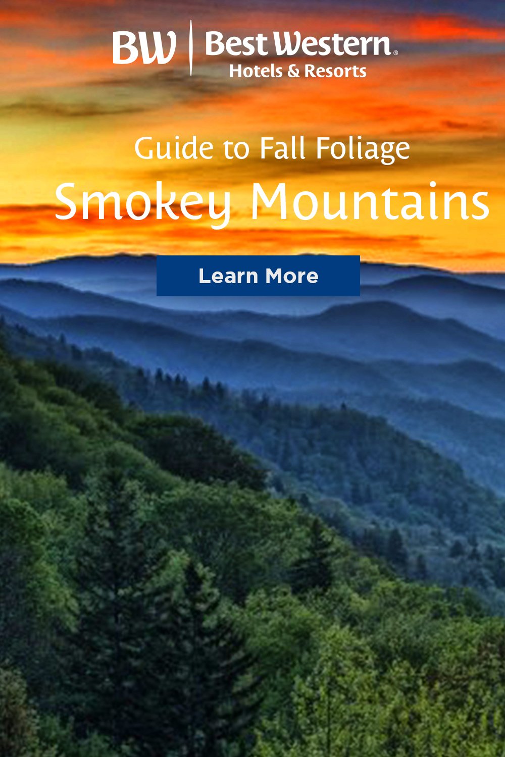 1000x1500-Guide to Fall Foliage _ Smoky Mountains.jpg