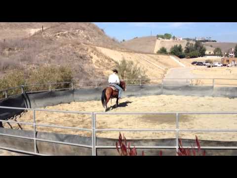 Tonka's First Ride 11/21