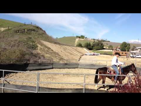 Legacy First Ride 1-7-13