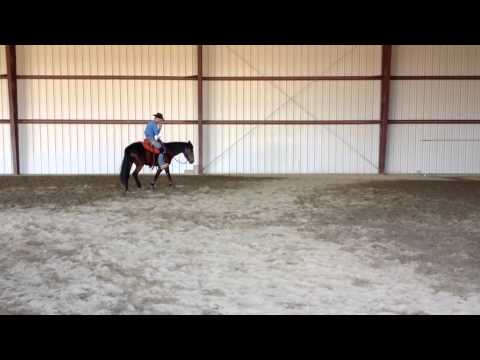 Hermione - Body Control 1/18/13